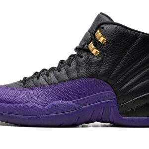 jordan air jordan 12 field purple 20928394 46187460 2048.jpg