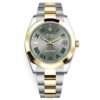 rolex datejust 126303 wimbledon dial two tone 41mm fixed oyster bracelet wrist watch replica grwad.jpg